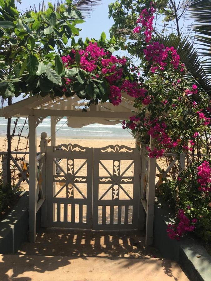 Pele'S Windsong Wood Cottage On The Beach ベナウリム エクステリア 写真