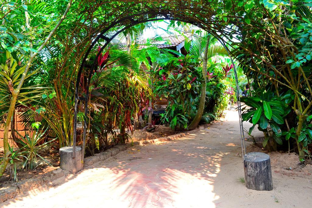 Pele'S Windsong Wood Cottage On The Beach ベナウリム エクステリア 写真